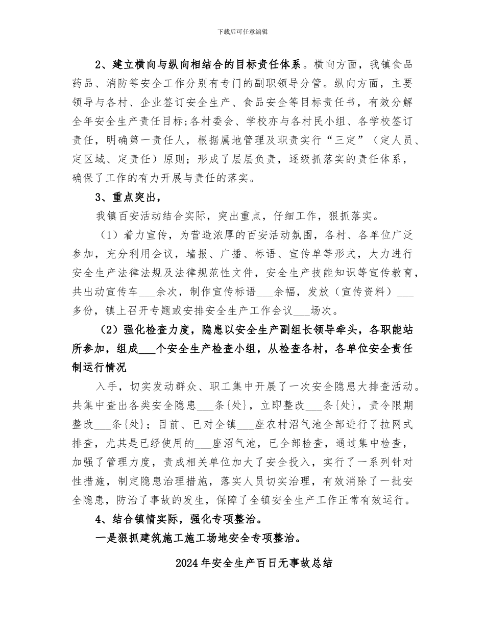 2024年安全生产百日整治行动工作总结范本_第2页