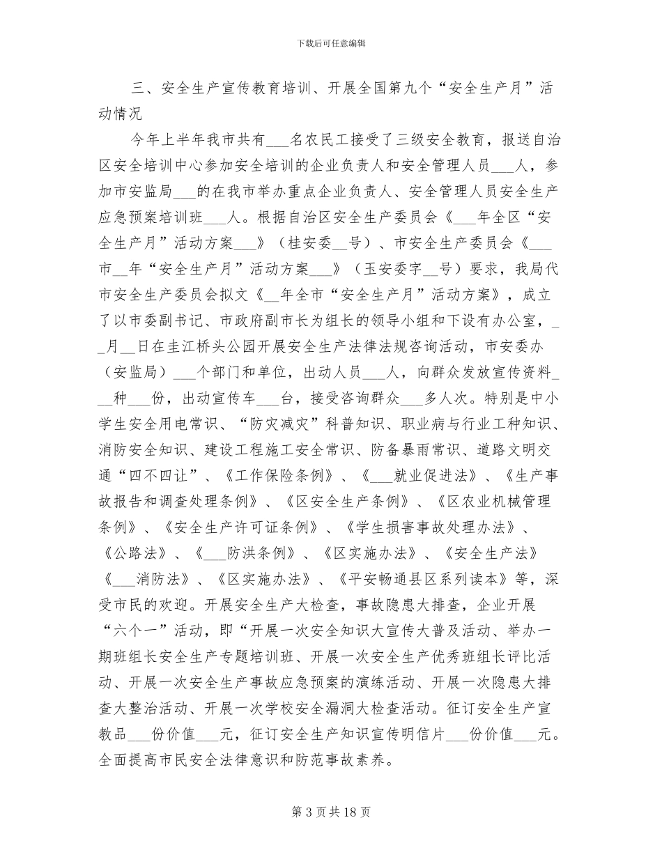 2024年安监局落实三项行动半年工作总结_第3页