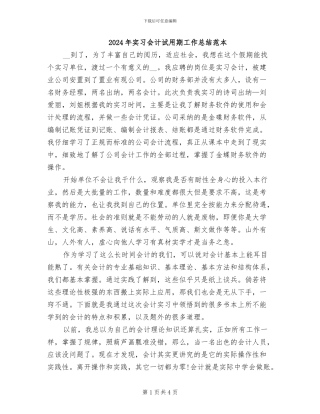 2024年实习会计试用期工作总结范本