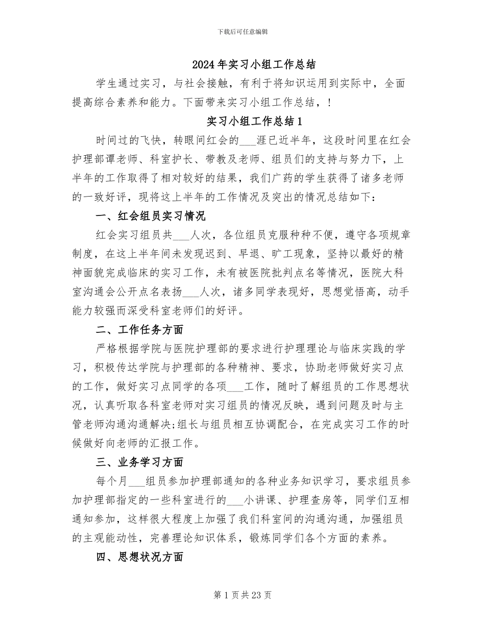 2024年实习小组工作总结_第1页