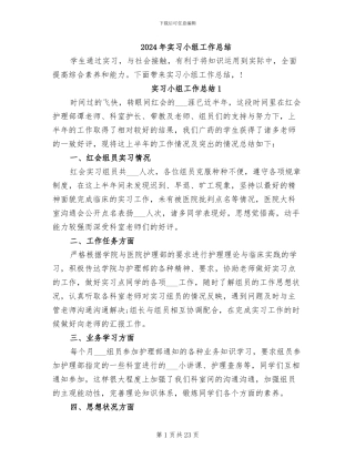 2024年实习小组工作总结