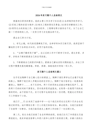 2024年实习期个人总结例文