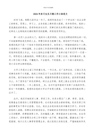 2024年实习生见习期工作小结范文