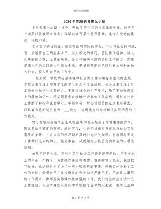 2024年实践销售情况小结