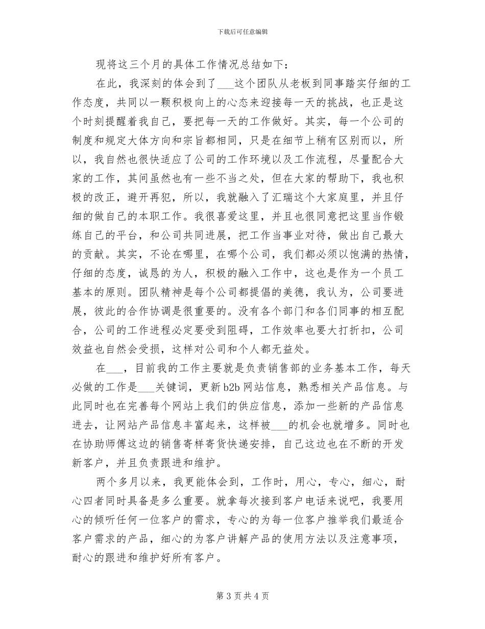2024年实销售总监试用期转正工作总结_第3页