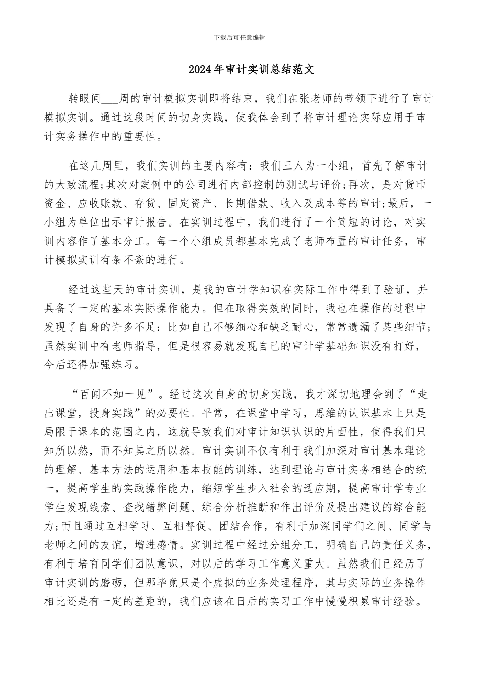 2024年审计实训总结范文_第1页