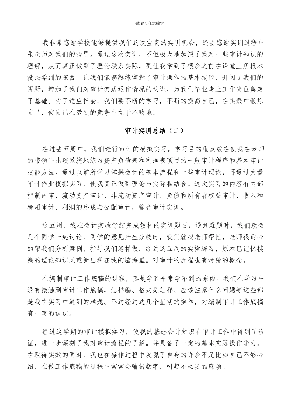 2024年审计实训总结范文_第2页