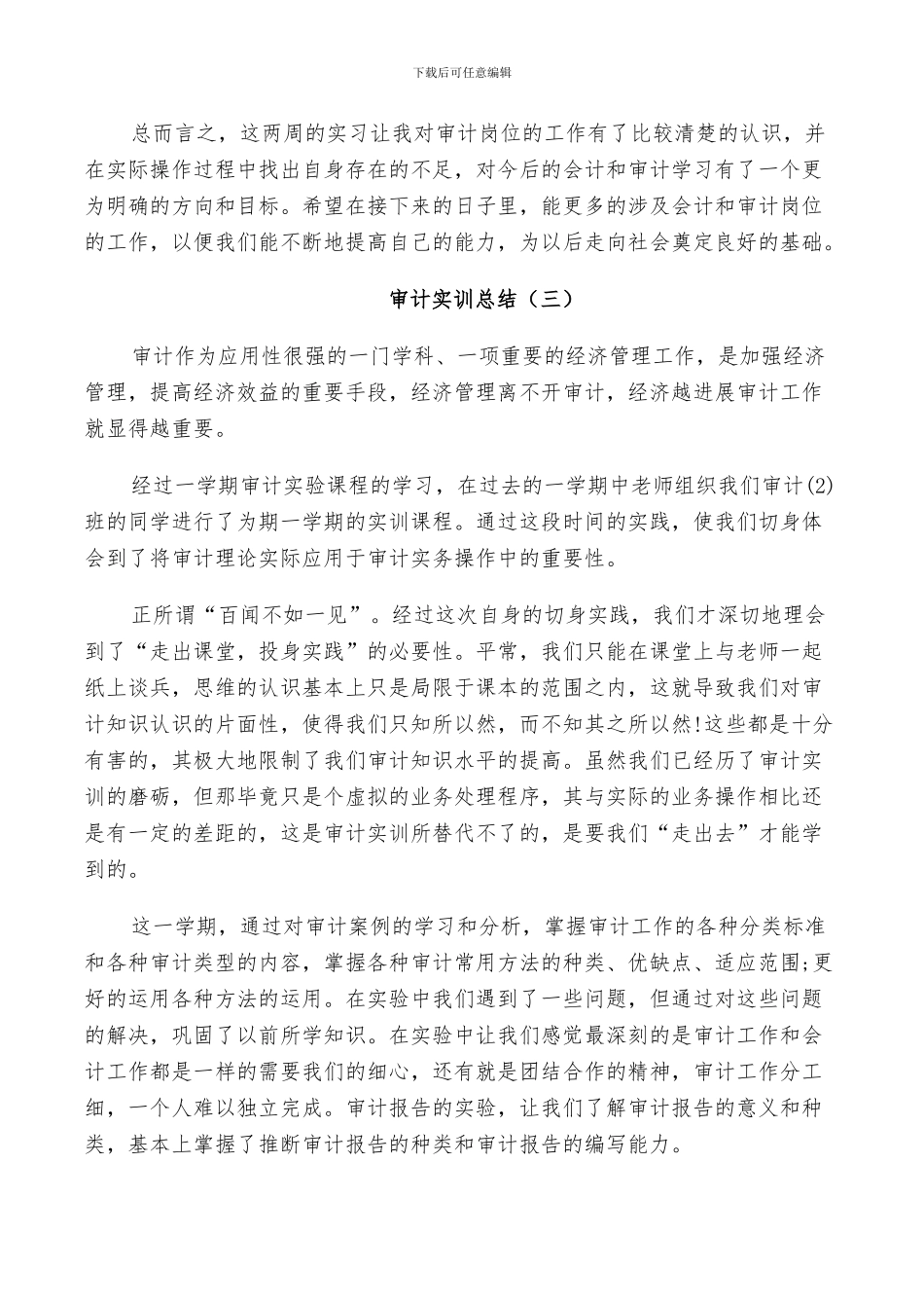 2024年审计实训总结范文_第3页