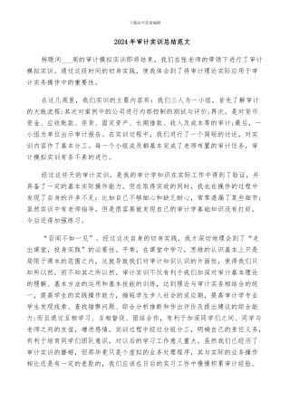 2024年审计实训总结范文