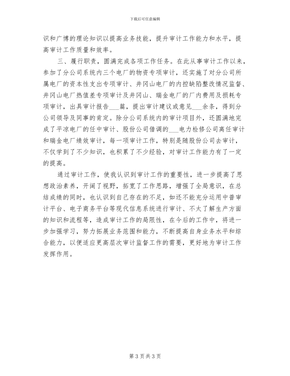 2024年审计工作人员个人年度工作总结_第3页