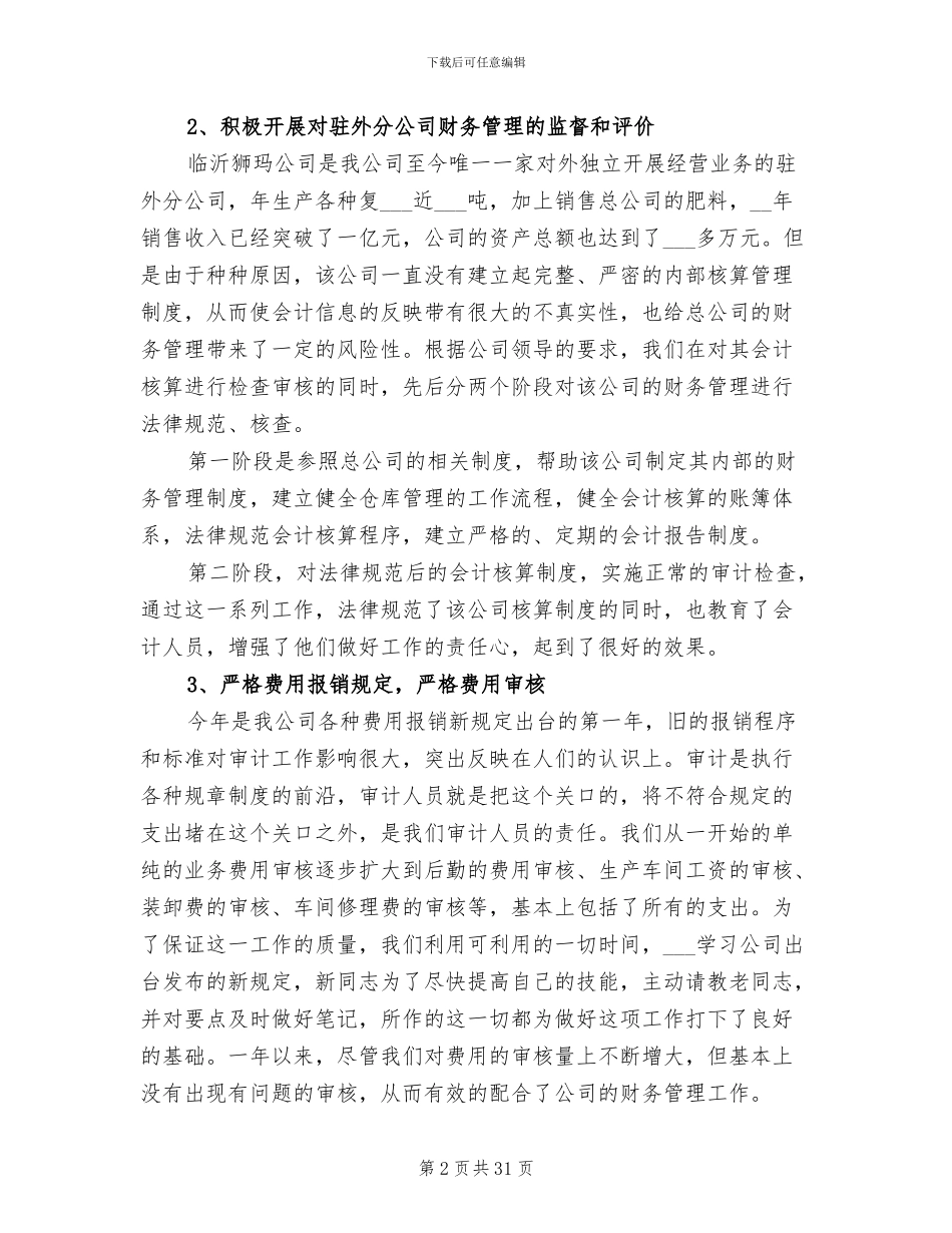 2024年审计部工作总结模板_第2页