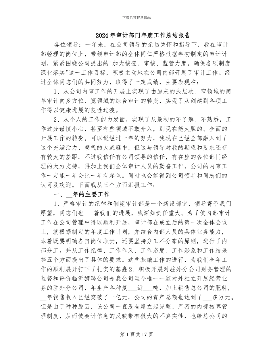 2024年审计部门年度工作总结报告_第1页