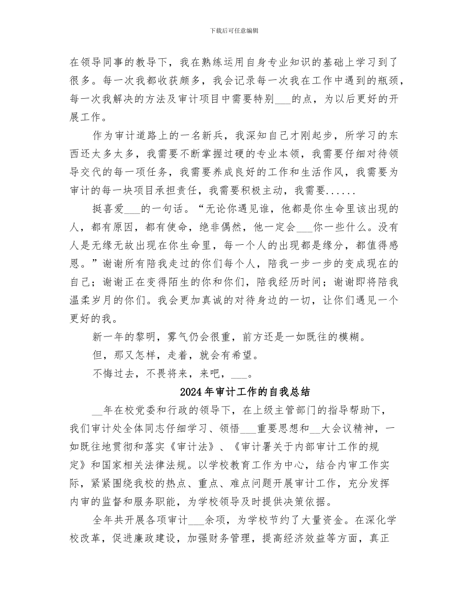 2024年审计工作感悟总结_第2页
