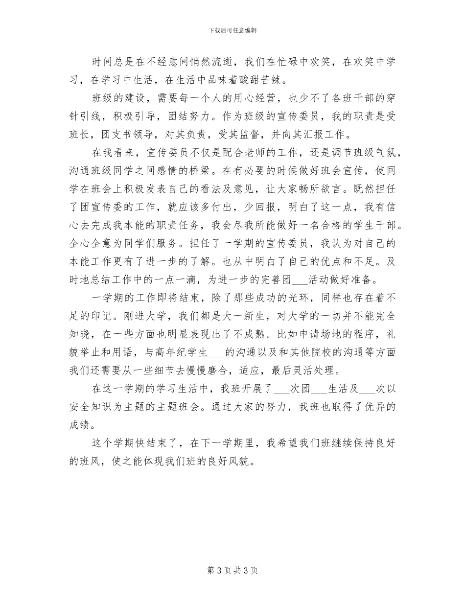 2024年宣传委员个人工作总结_第3页