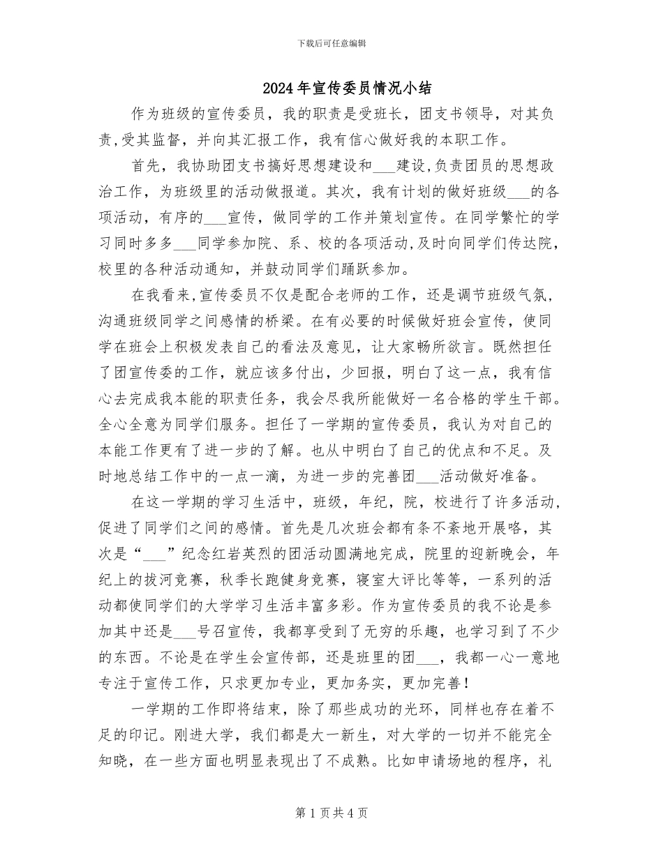 2024年宣传委员情况小结_第1页