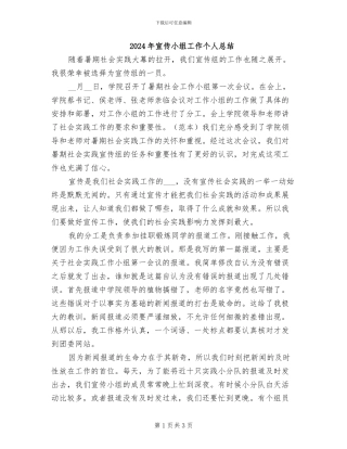 2024年宣传小组工作个人总结