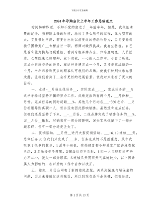 2024年导购店长上半年工作总结范文