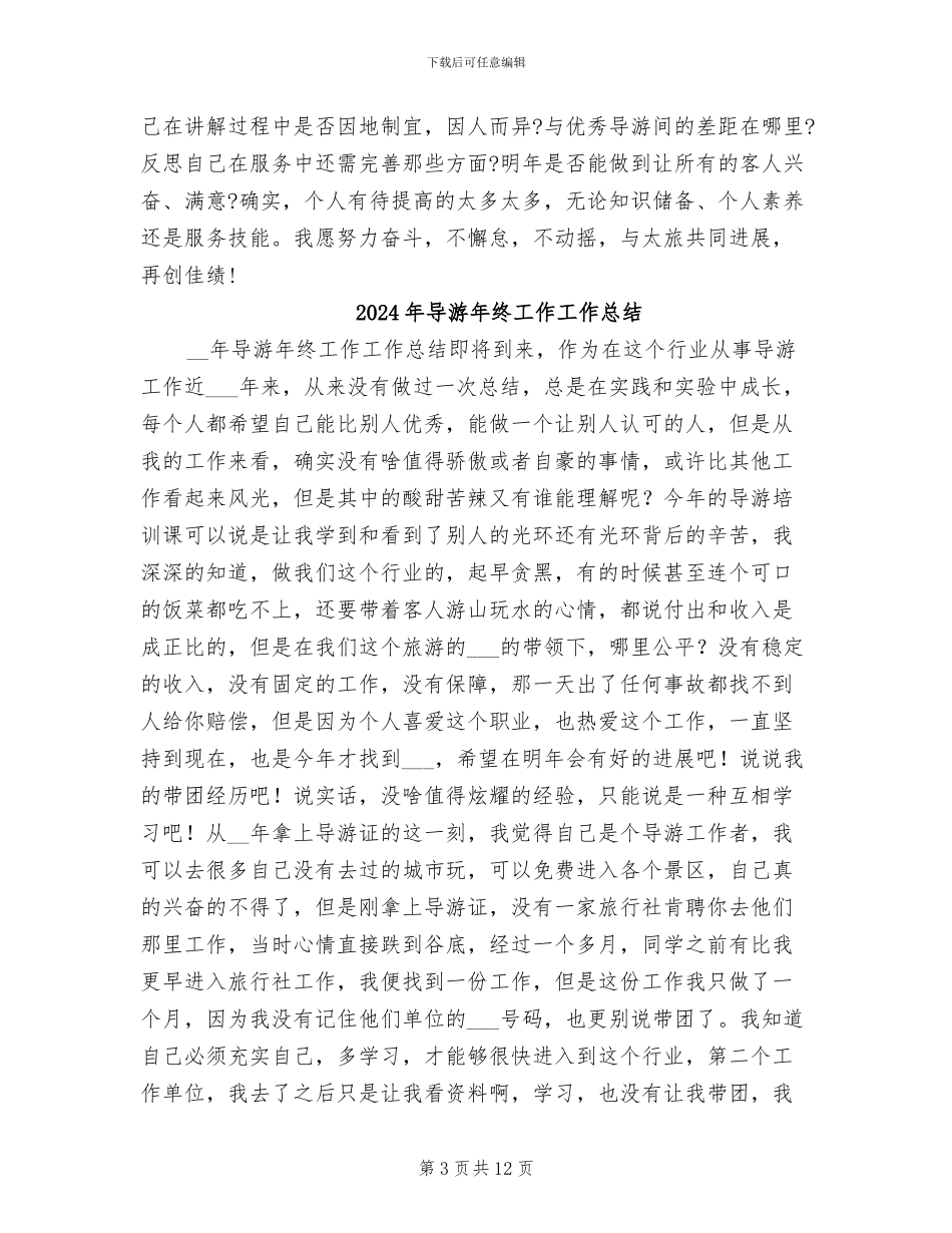 2024年导游年终个人总结_第3页