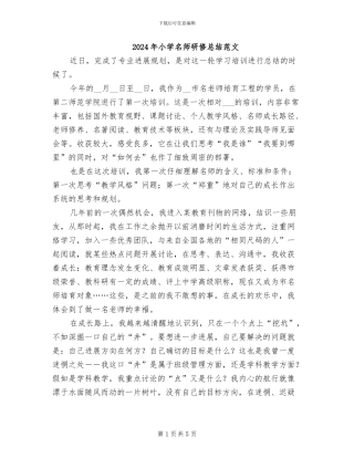 2024年小学名师研修总结范文