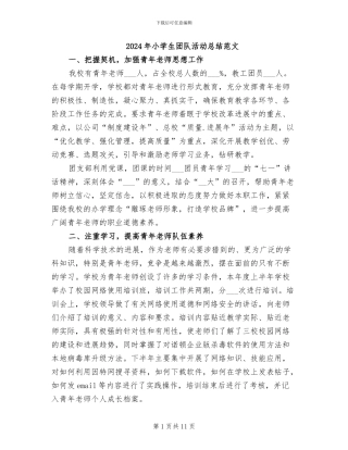 2024年小学生团队活动总结范文