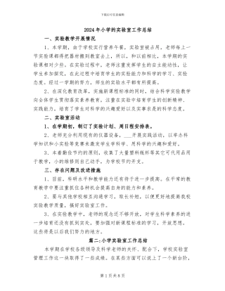 2024年小学的实验室工作总结