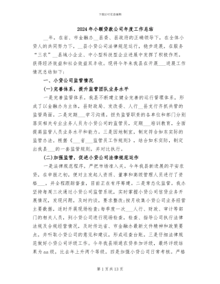 2024年小额贷款公司年度工作总结