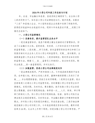2024年小贷公司年度工作总结与计划