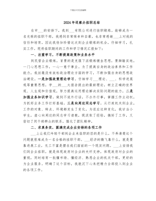 2024年巡察办挂职总结