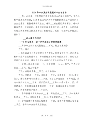 2024年市农发办发展提升年全年总结