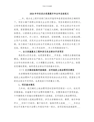 2024年市农发办发展提升年全年总结范文