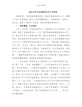 2024年市卫生局政务公开工作总结