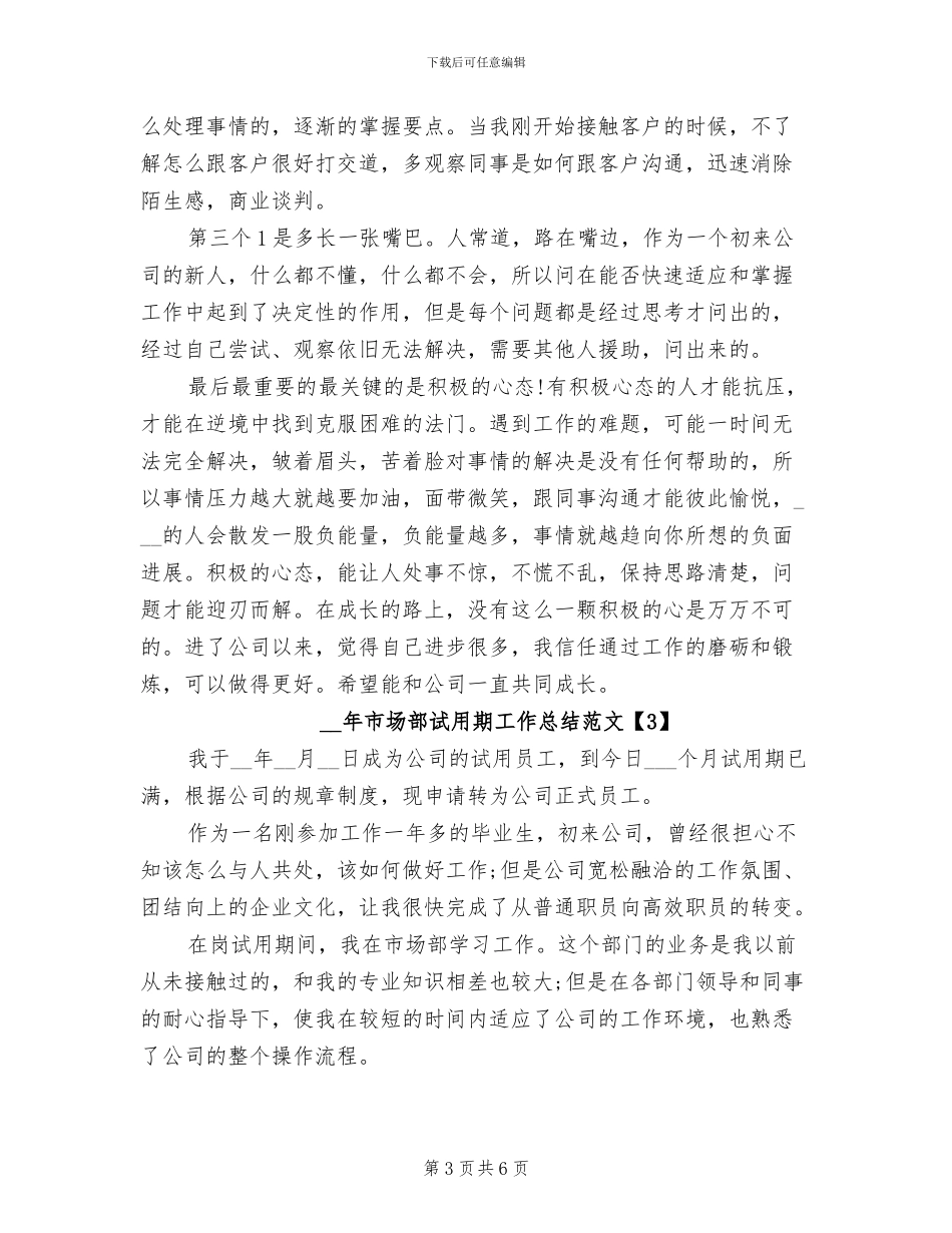2024年市场部试用期工作总结范文_第3页