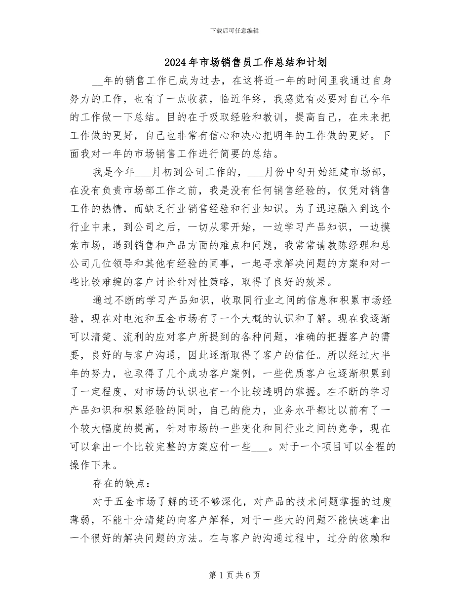 2024年市场销售员工作总结和计划_第1页