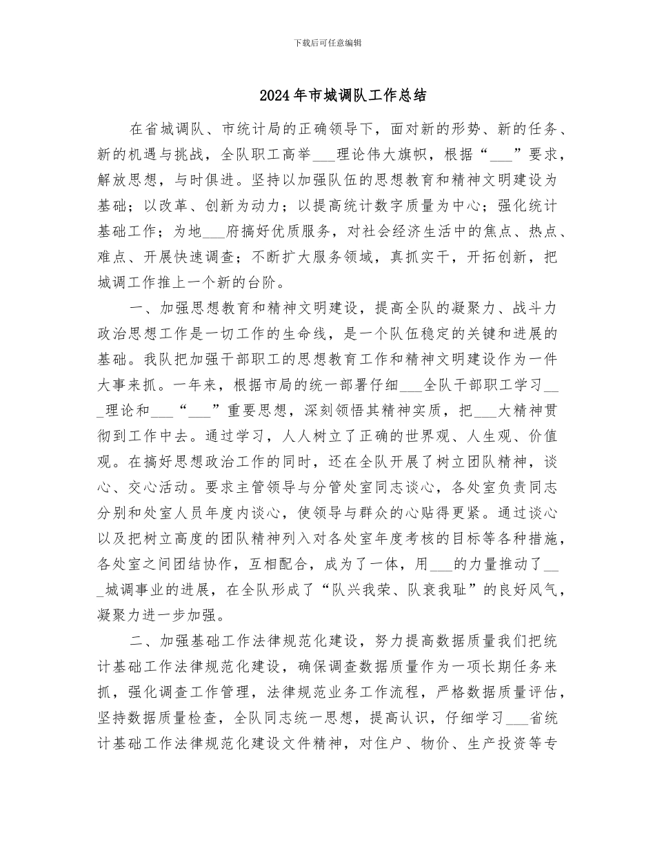 2024年市城调队工作总结_第1页