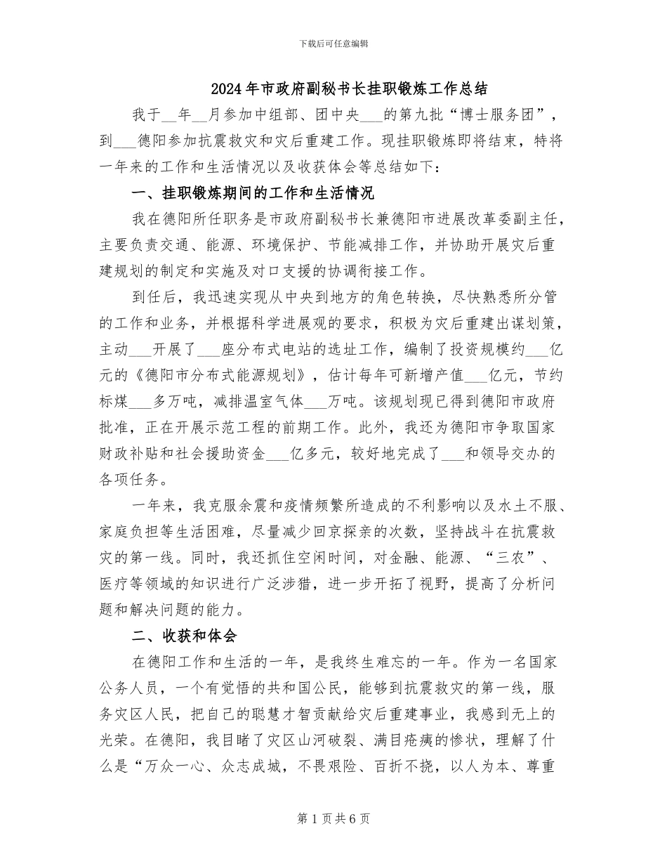 2024年市政府副秘书长挂职锻炼工作总结_第1页