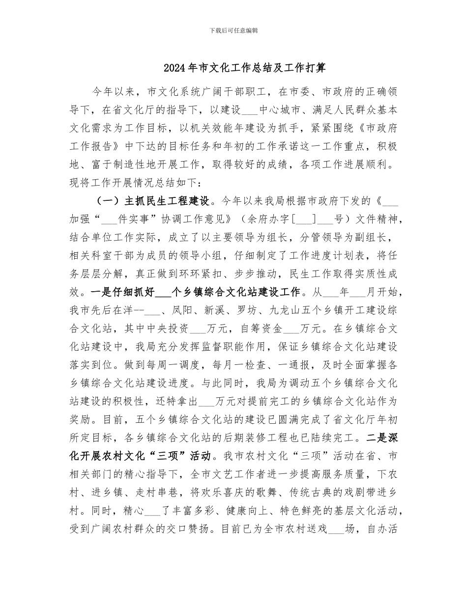 2024年市文化工作总结及工作打算_第1页