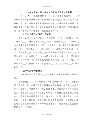 2024年市统计局上半年工作总结及下步工作打算