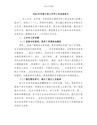 2024年市统计局上半年工作总结范文