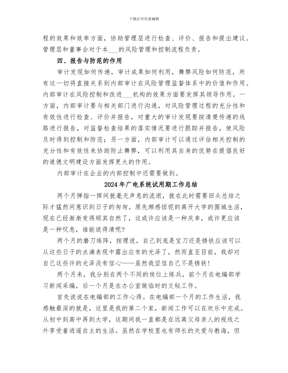 2024年广电系统某公司审计部门个人工作总结感想_第3页