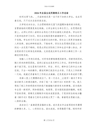 2024年应届生试用期转正工作总结