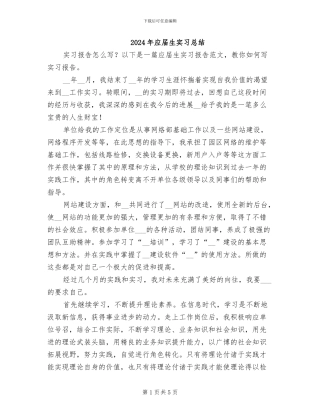 2024年应届生实习总结