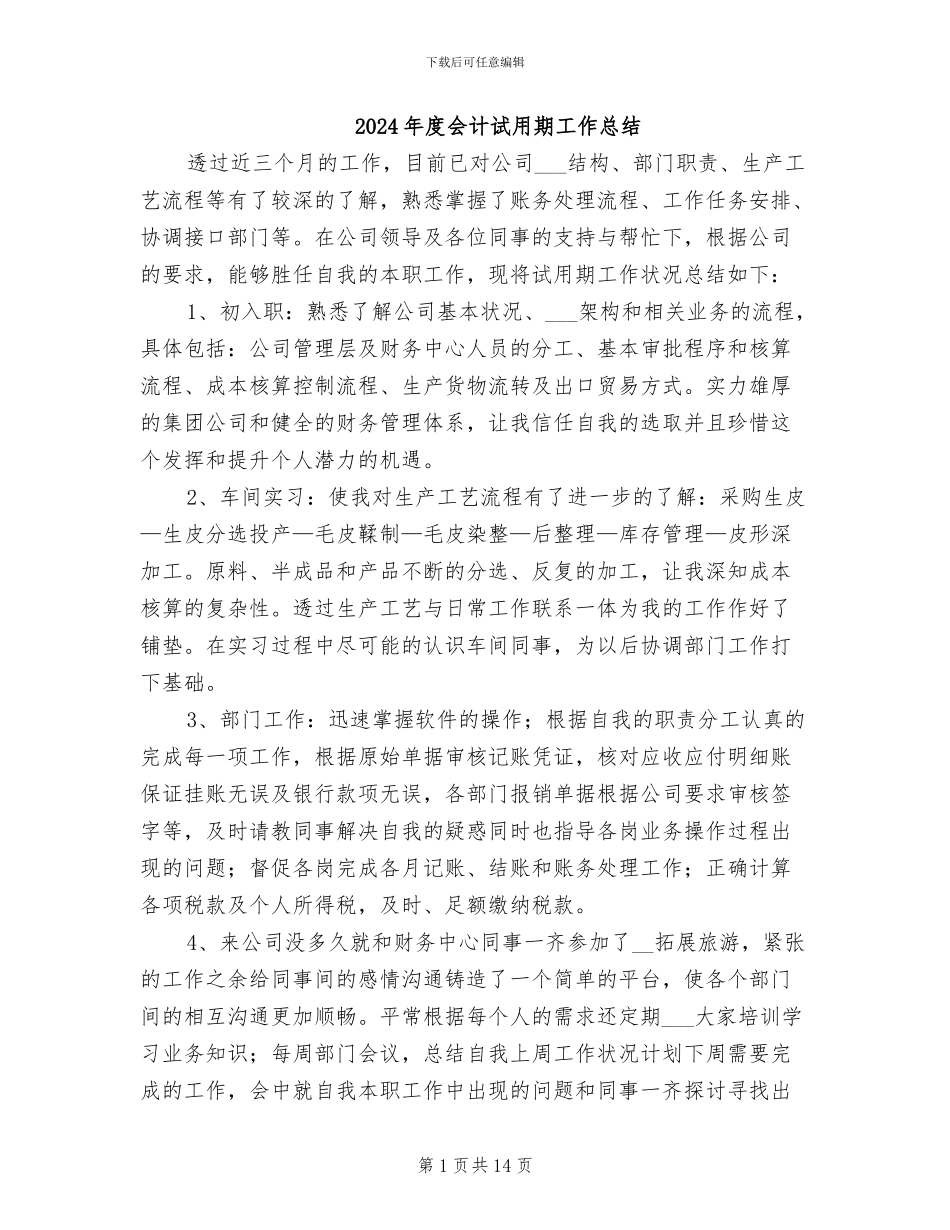 2024年度会计试用期工作总结_第1页