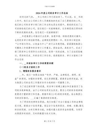 2024年度公司财务审计工作总结