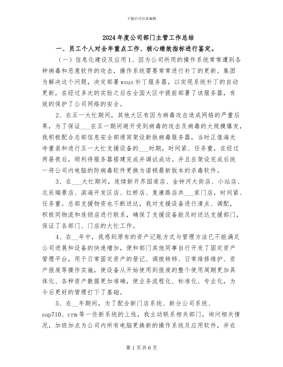 2024年度公司部门主管工作总结_第1页