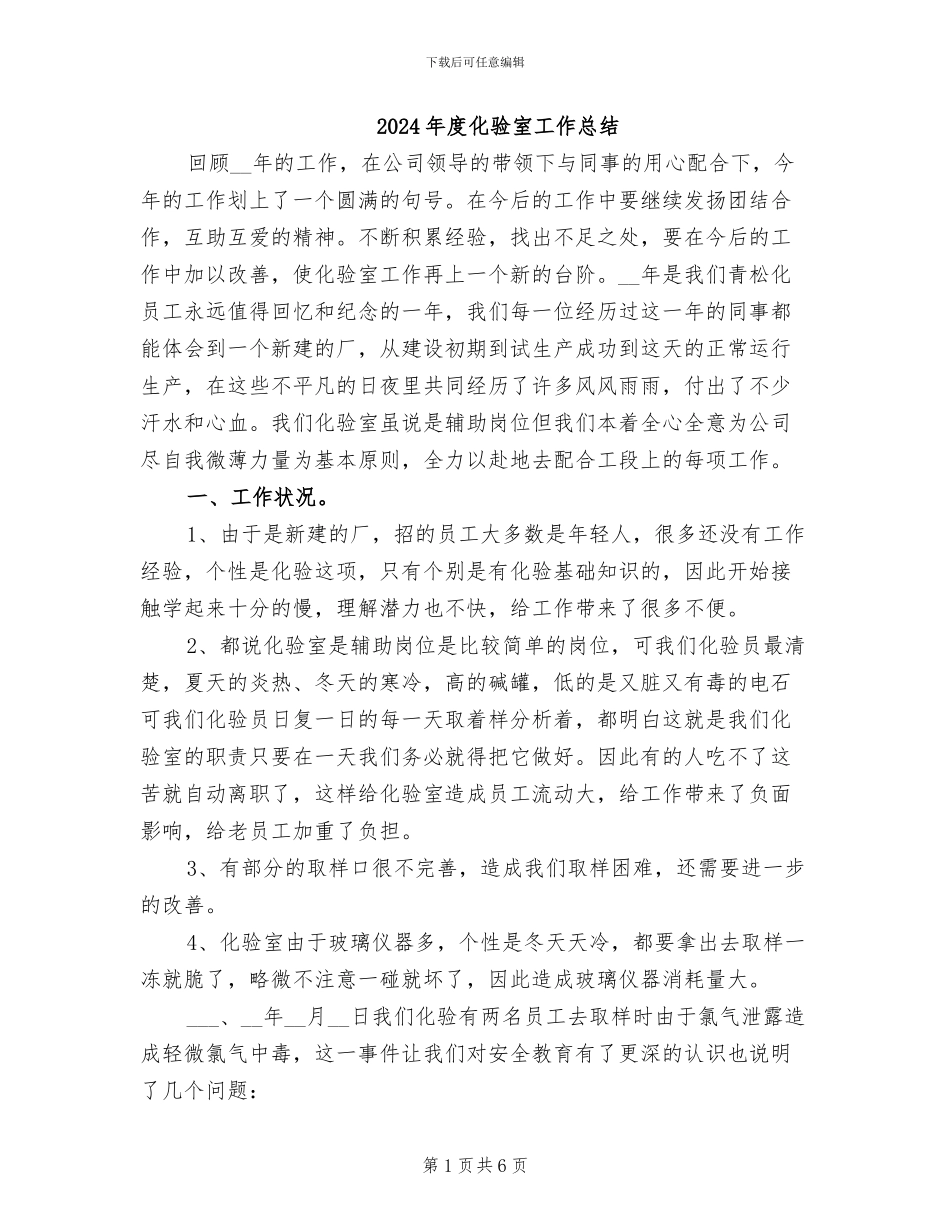 2024年度化验室工作总结_第1页