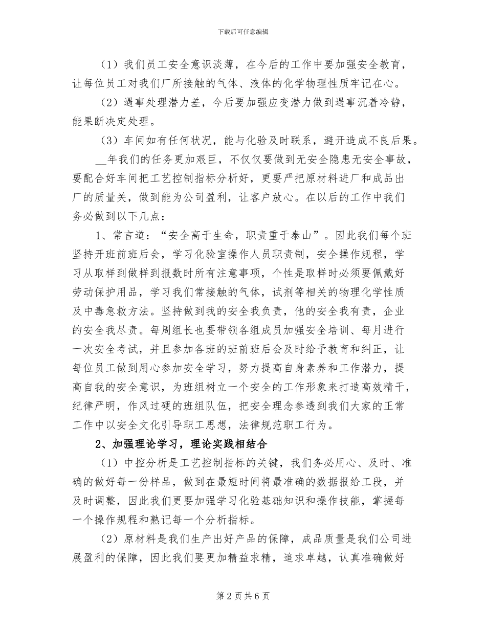2024年度化验室工作总结_第2页