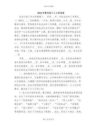 2024年度司法个人工作总结