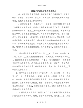 2024年度团总支工作总结范本