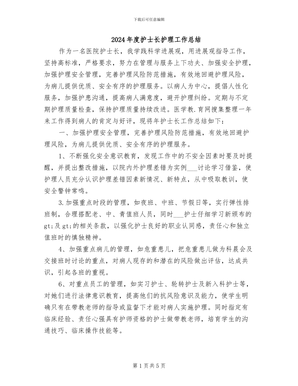 2024年度护士长护理工作总结_第1页