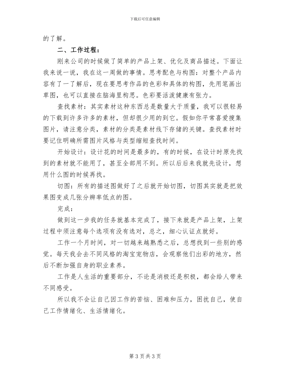 2024年度淘宝美工个人总结_第3页